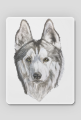 Syberian Husky