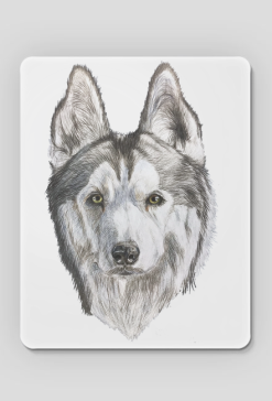 Syberian Husky