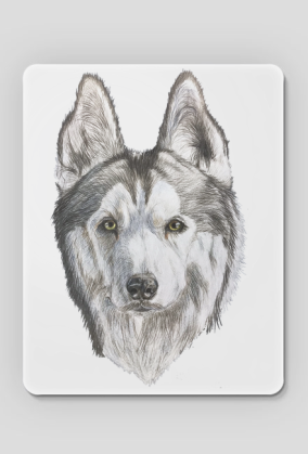 Syberian Husky