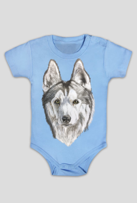 Syberian Husky