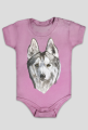 Syberian Husky