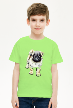 Jasny mops 5
