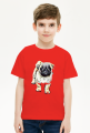 Jasny mops 5