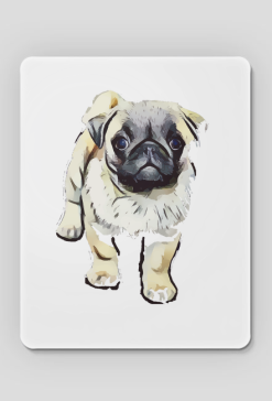 Jasny mops 9