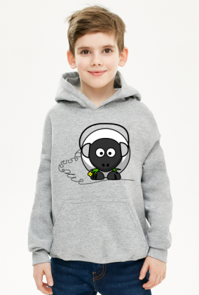Bluza chłopięca Muzyczna owca