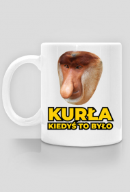 KURŁA KIEDYŚ TO BYŁO / NOSACZ