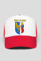 Herb Rudy Śląskiej