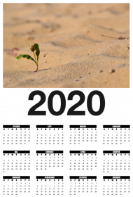 Desert Calendar