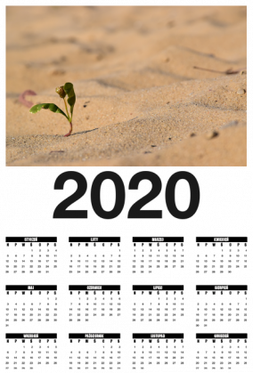 Desert Calendar