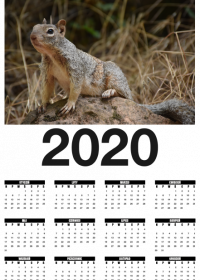 Squirrel Calendar