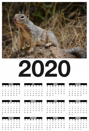 Squirrel Calendar