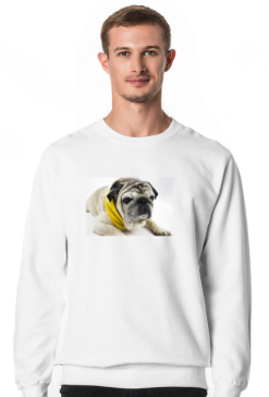 Mops w szalu 6