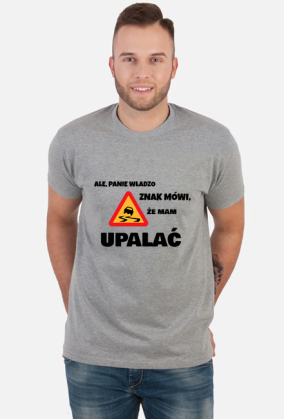 Ale Panie Władzo