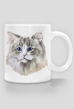 ragdoll