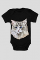 ragdoll