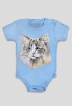 ragdoll