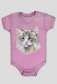 ragdoll