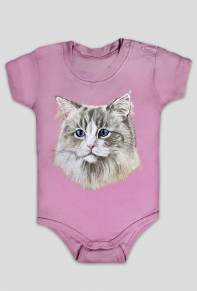 ragdoll