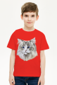 ragdoll