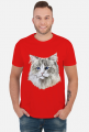 ragdoll