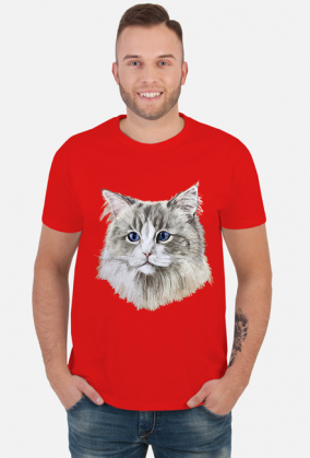 ragdoll