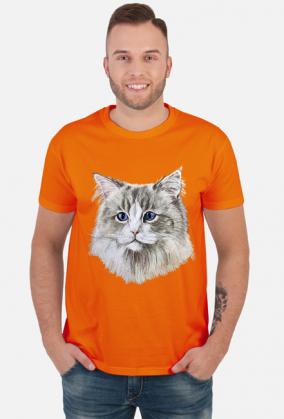 ragdoll