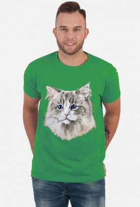ragdoll