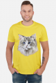 ragdoll