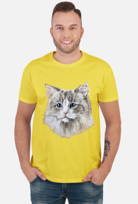 ragdoll