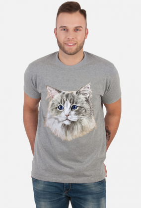 ragdoll