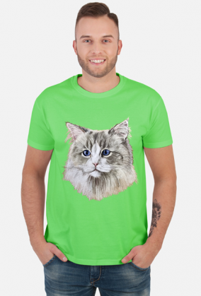 ragdoll