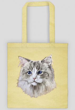 ragdoll