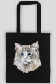 ragdoll