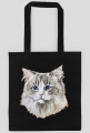 ragdoll