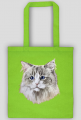 ragdoll