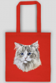 ragdoll