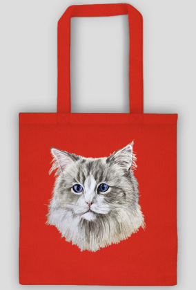 ragdoll