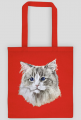 ragdoll