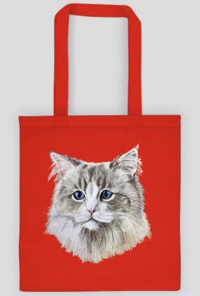 ragdoll