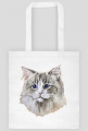 ragdoll