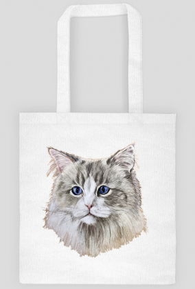 ragdoll