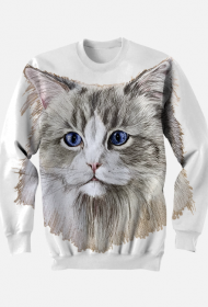 ragdoll