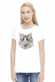ragdoll