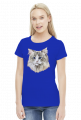 ragdoll