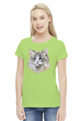 ragdoll