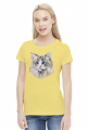 ragdoll