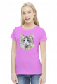 ragdoll