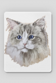 ragdoll