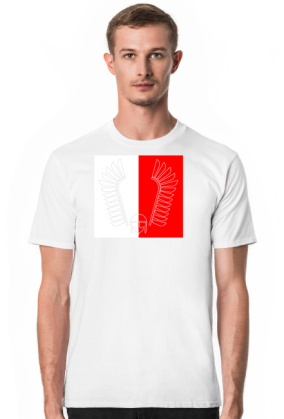 Husar 03