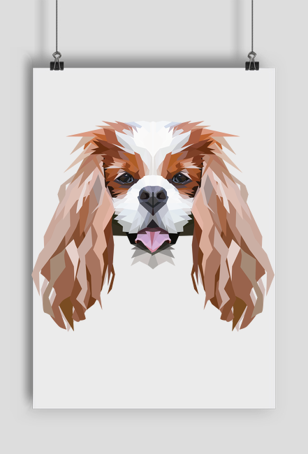 Cavalier king charles spaniel geometryczny Plakat A2 z Twoim Psem